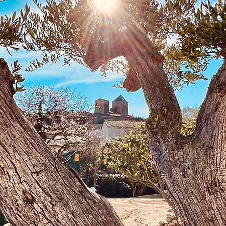 Melisande Au Pays Des Orjouliers Saint-Jean-de-Fos Dış mekan fotoğraf