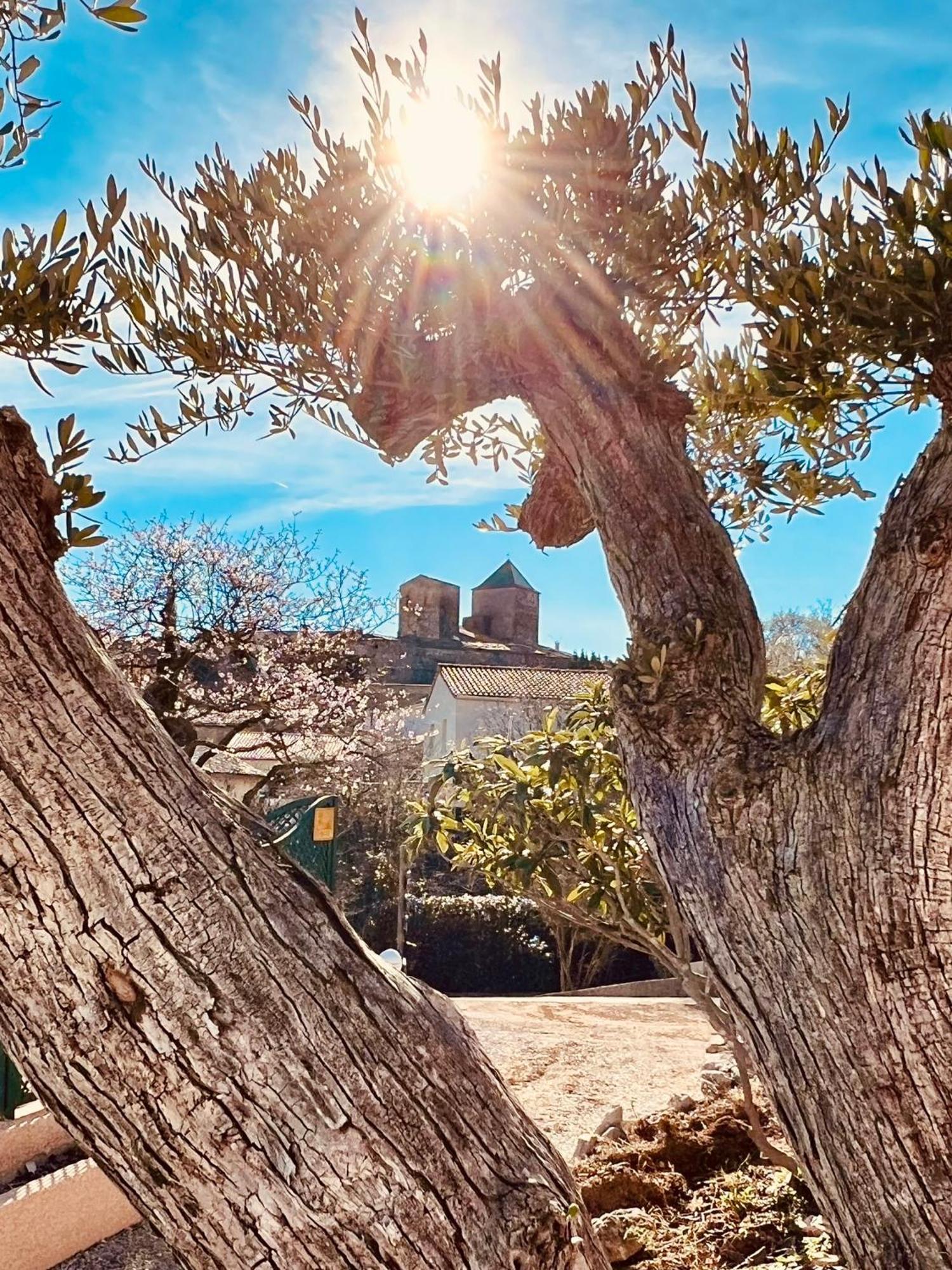 Melisande Au Pays Des Orjouliers Saint-Jean-de-Fos Dış mekan fotoğraf