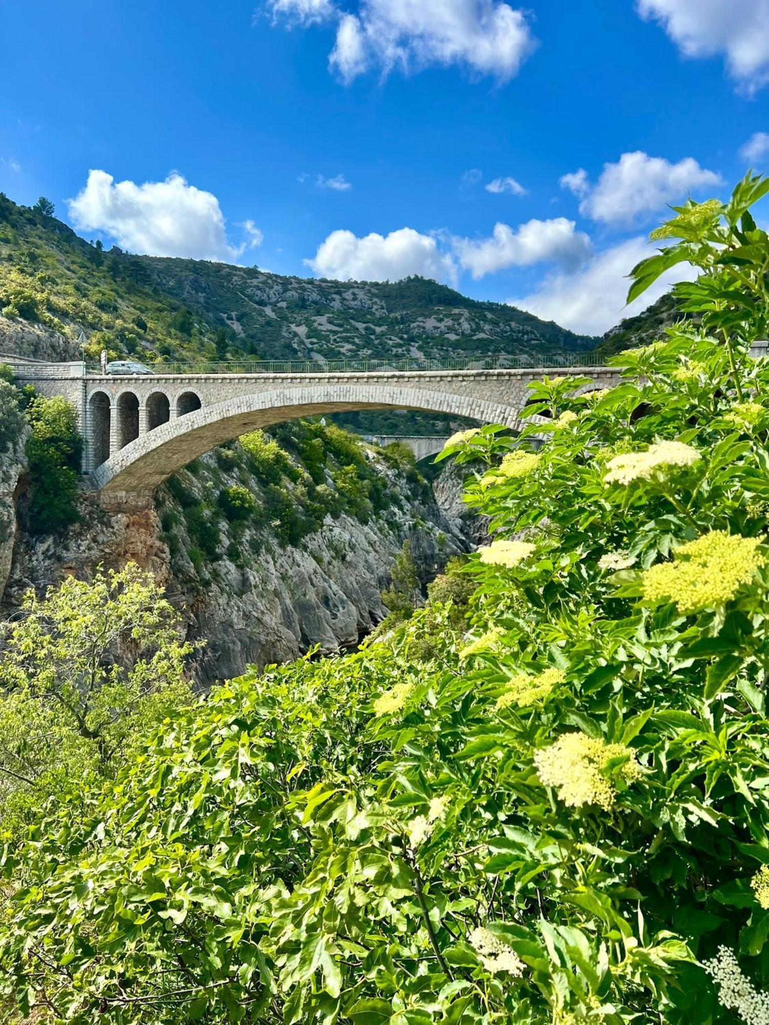 Melisande Au Pays Des Orjouliers Saint-Jean-de-Fos Dış mekan fotoğraf